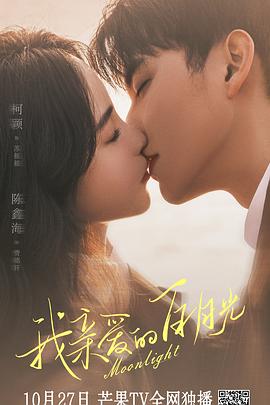 提供seo优化技术指导